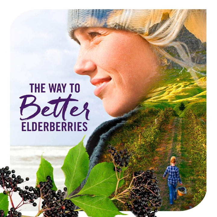 Nature's Way Sambucus Elderberry Drops with Ultra Strength Elderberry, Immune Support*, Made from 6400mg of Elderberries per 1 mL, 1 Fl. Oz. - The Oasis of Health