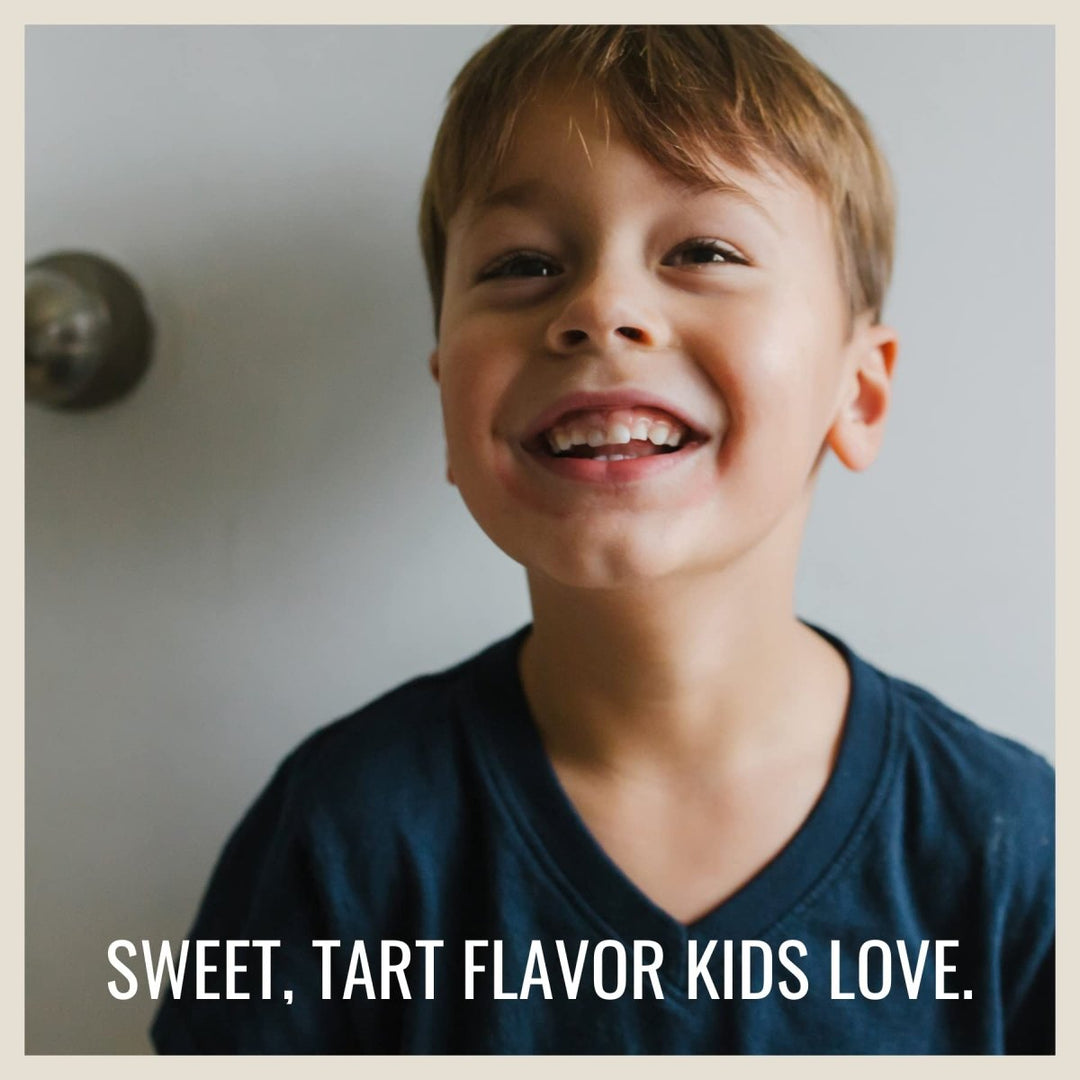 Nature's Way Sambucus Elderberry Gummies with Vitamin C and Zinc for Kids, Immune Support*, Berry Flavored, 60 Gummies - The Oasis of Health