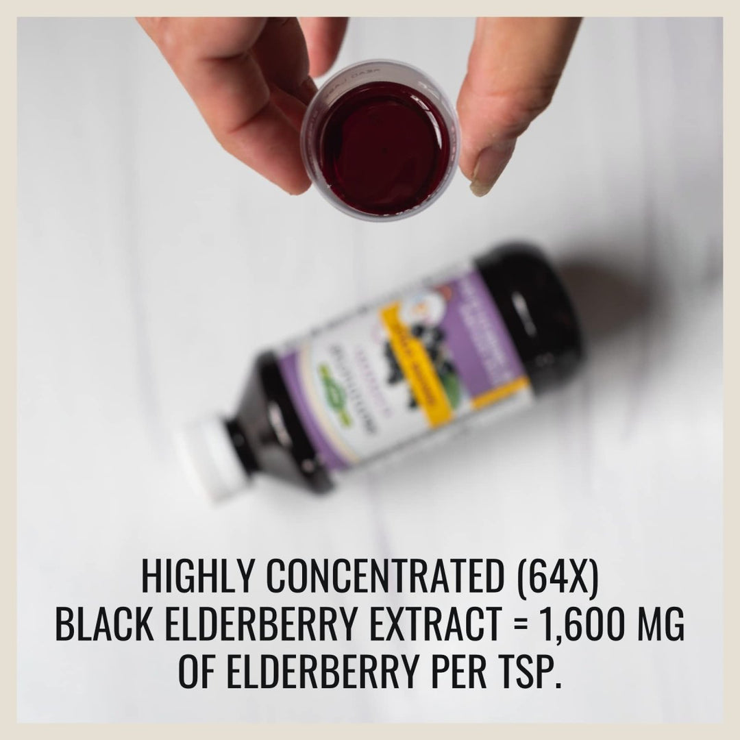Nature's Way Sambucus Elderberry Immune Syrup for Kids - 4 Oz. - The Oasis of Health