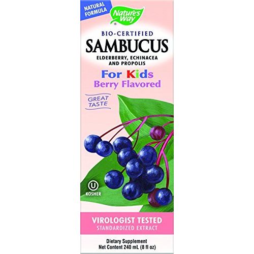 Nature's Way Sambucus for Kids Berry Flavored - 8 Fluid Ounces - The Oasis of Health