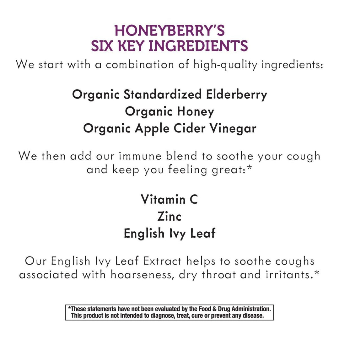 Nature's Way Sambucus HoneyBerry Cough Syrup for Kids with Black Elderberry Extract & Organic Honey, Immune Support*, 4 Fl. Oz. - The Oasis of Health