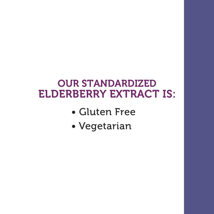 Nature's Way Sambucus HoneyBerry Cough Syrup with Black Elderberry Extract & Organic Honey, Immune Support*, 4 Fl. Oz - The Oasis of Health