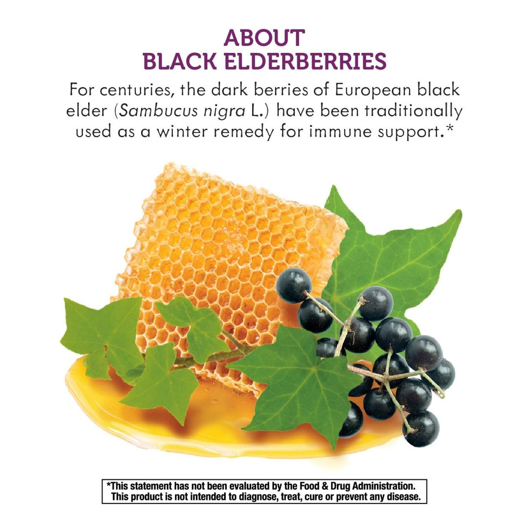 Nature's Way Sambucus HoneyBerry Cough Syrup with Black Elderberry Extract & Organic Honey, Immune Support*, 4 Fl. Oz - The Oasis of Health