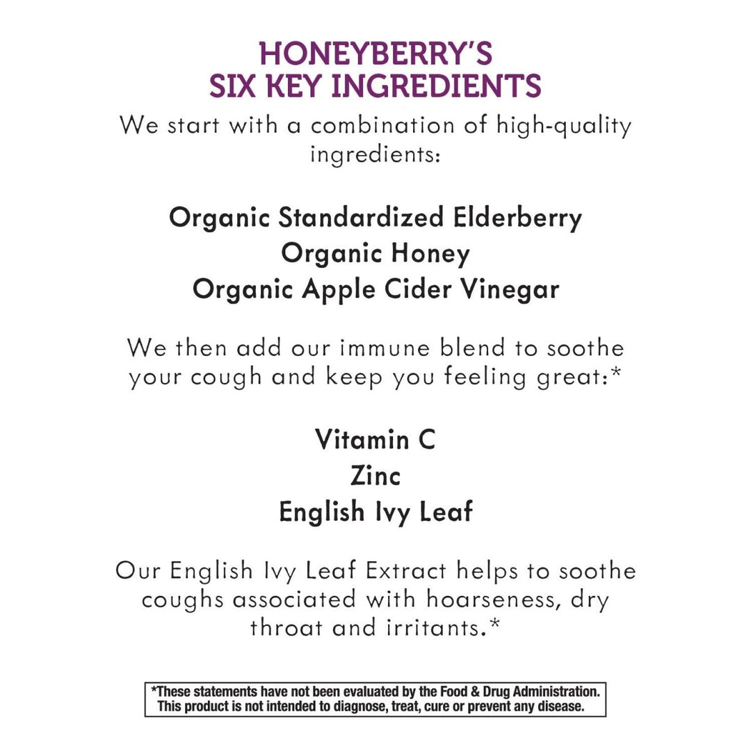 Nature's Way Sambucus HoneyBerry Cough Syrup with Black Elderberry Extract & Organic Honey, Immune Support*, 4 Fl. Oz - The Oasis of Health