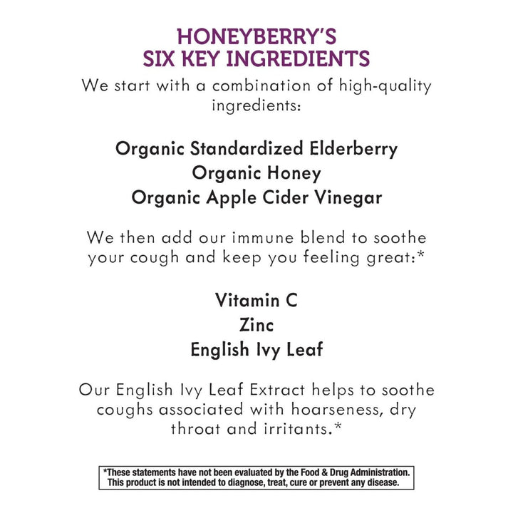 Nature's Way Sambucus HoneyBerry Cough Syrup with Black Elderberry Extract & Organic Honey, Immune Support*, 4 Fl. Oz - The Oasis of Health