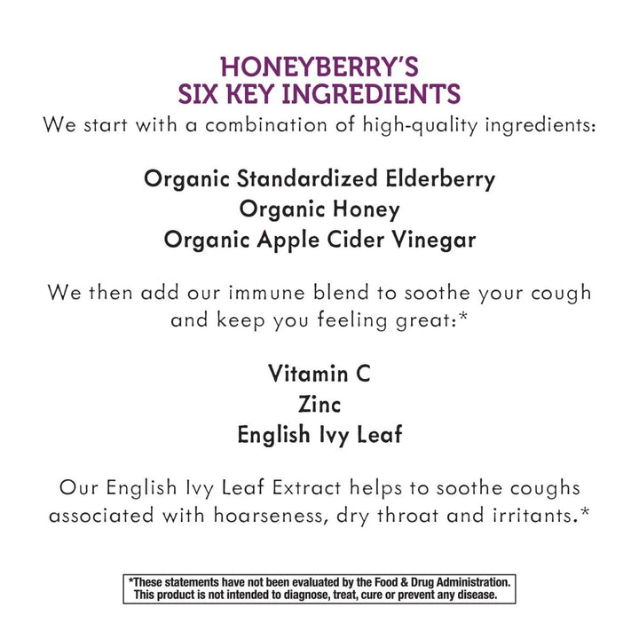 Nature's Way Sambucus HoneyBerry NightTime Cough Syrup - Soothing Relief for Cough and Occasional Sleeplessness - 4 Fl. Oz - The Oasis of Health