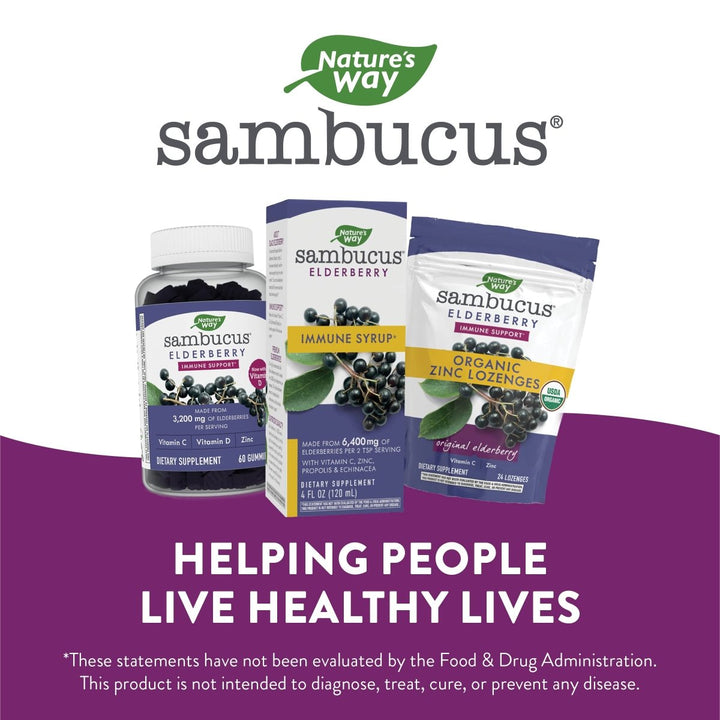 Nature's Way Sambucus Immune Elderberry Syrup - Powerful Immune Support with Vitamin C, Echinacea, and Zinc 8 oz - The Oasis of Health