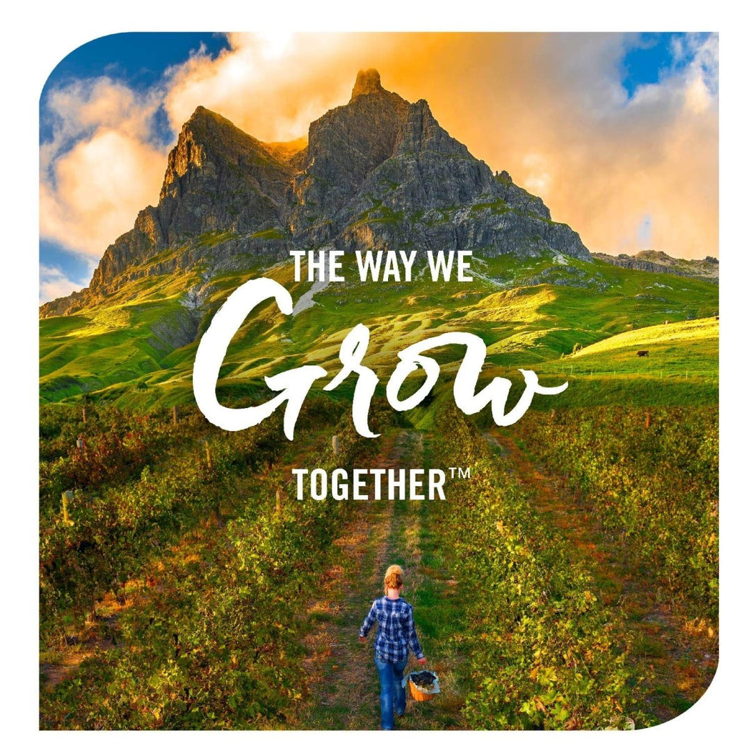 Nature's Way Sambucus Immune Elderberry Syrup - Powerful Immune Support with Vitamin C, Echinacea, and Zinc 8 oz - The Oasis of Health