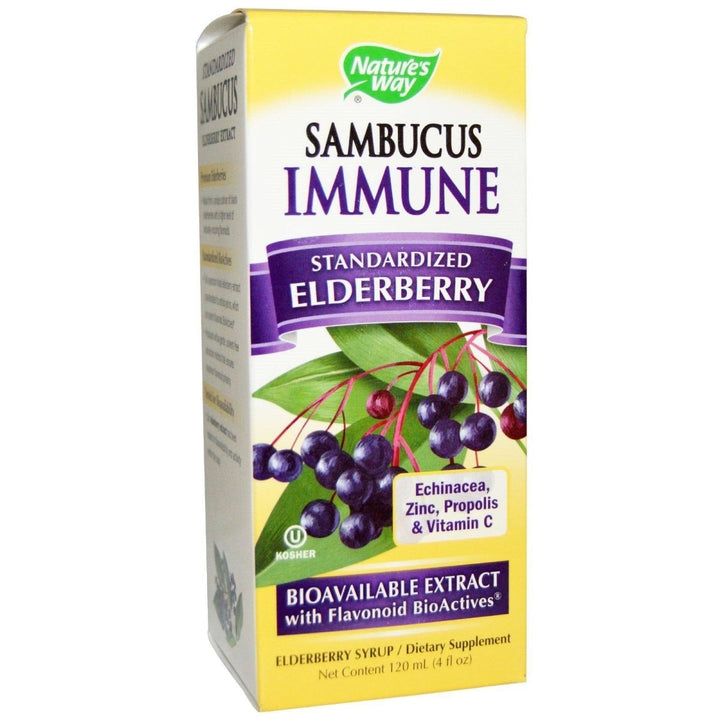 Nature's Way Sambucus Immune Syrup - 4 fl oz - The Oasis of Health