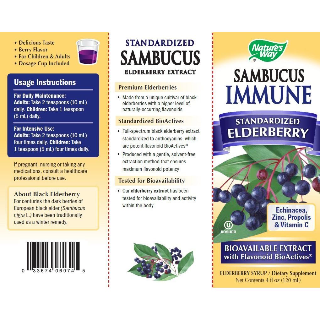 Nature's Way Sambucus Immune Syrup - 4 fl oz - The Oasis of Health