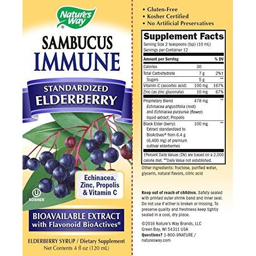 Nature's Way Sambucus Immune Syrup - 4 fl oz - The Oasis of Health