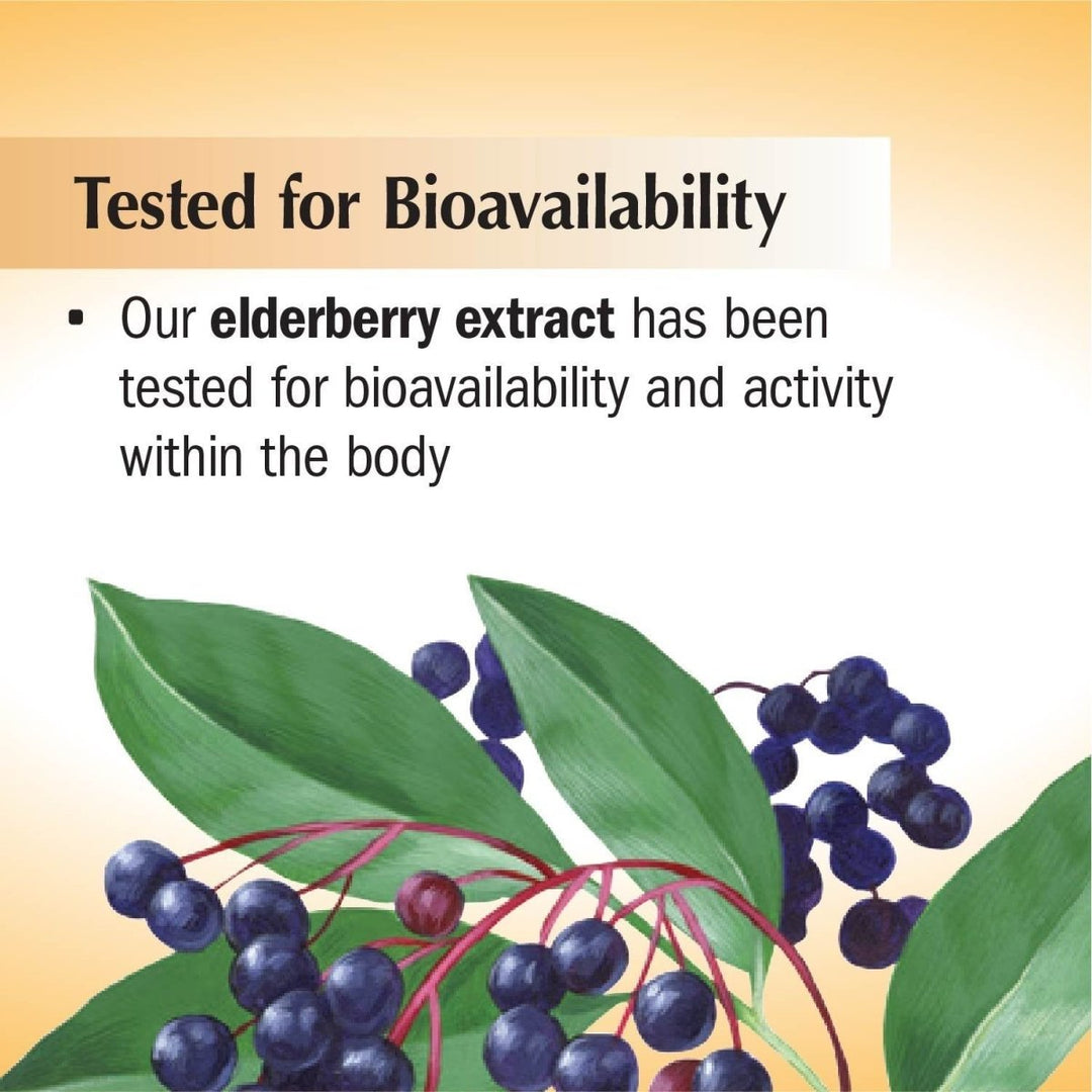 Nature's Way Sambucus Sugar - Free Elderberry Syrup, Traditional Immune Support*, 8 Fl Oz. - The Oasis of Health