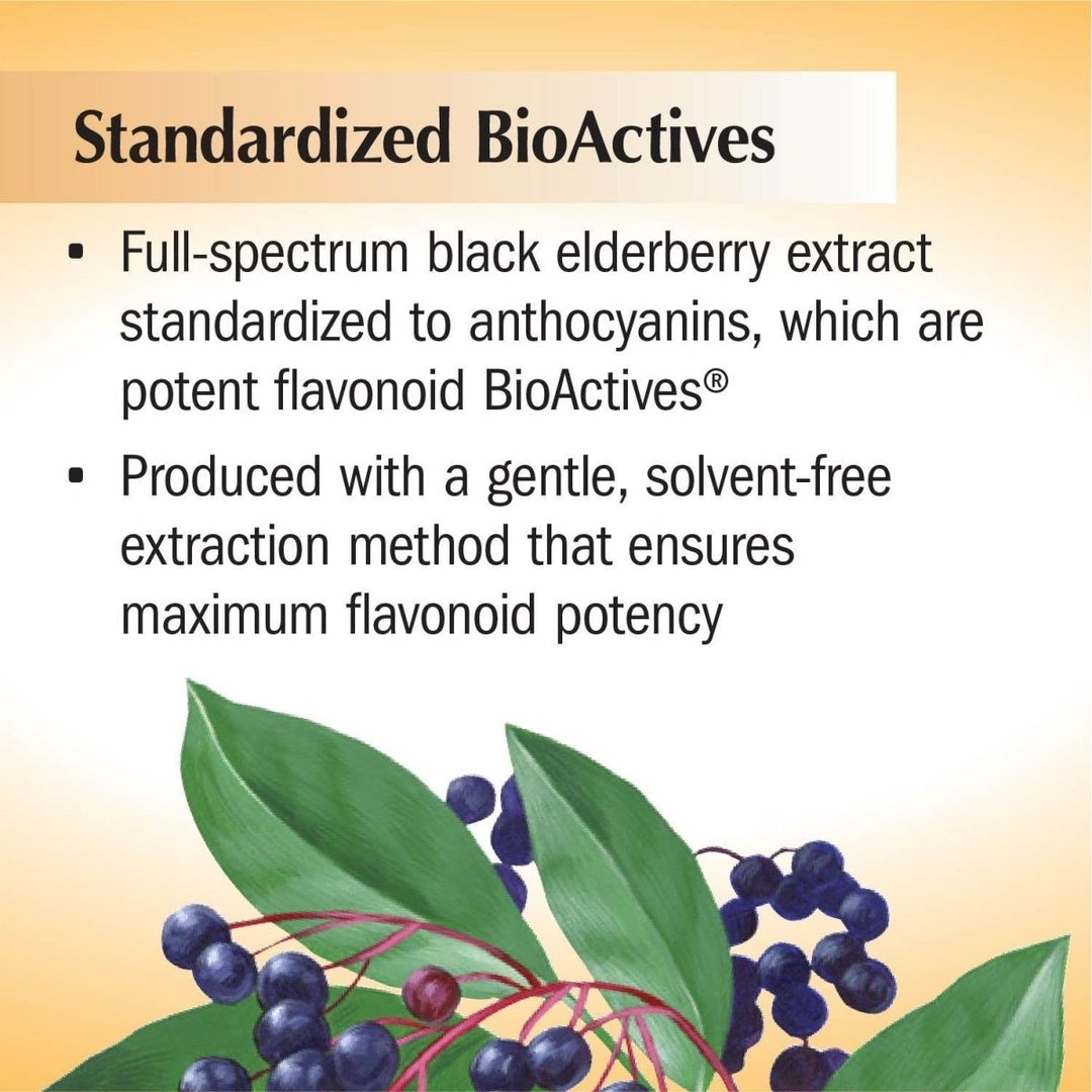 Nature's Way Sambucus Sugar - Free Elderberry Syrup, Traditional Immune Support*, 8 Fl Oz. - The Oasis of Health
