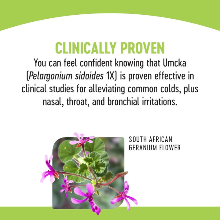 Nature's Way Umcka Allergy and Sinus Homeopathic Chewable Tablets - Cherry Flavor - 20 Count - The Oasis of Health