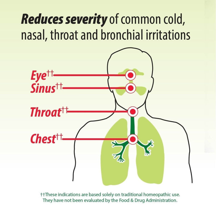 Nature's Way Umcka Allergy and Sinus Homeopathic Chewable Tablets - Cherry Flavor - 20 Count - The Oasis of Health