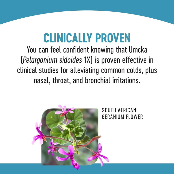 Nature's Way Umcka ColdCare Original Alcohol Free Drops, 2 fl oz - The Oasis of Health