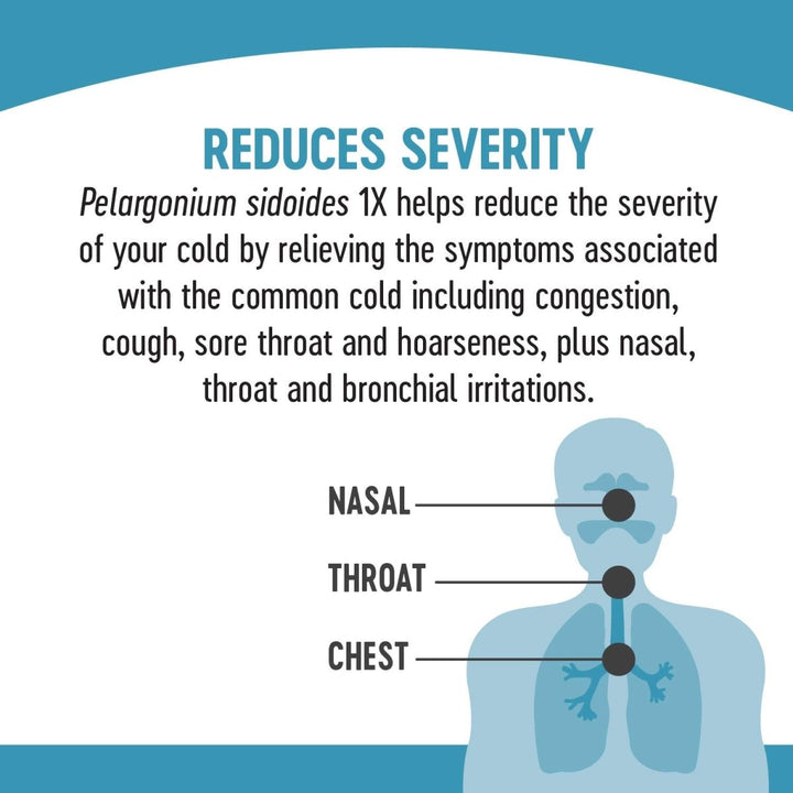 Nature's Way Umcka ColdCare Original Alcohol Free Drops, 2 fl oz - The Oasis of Health