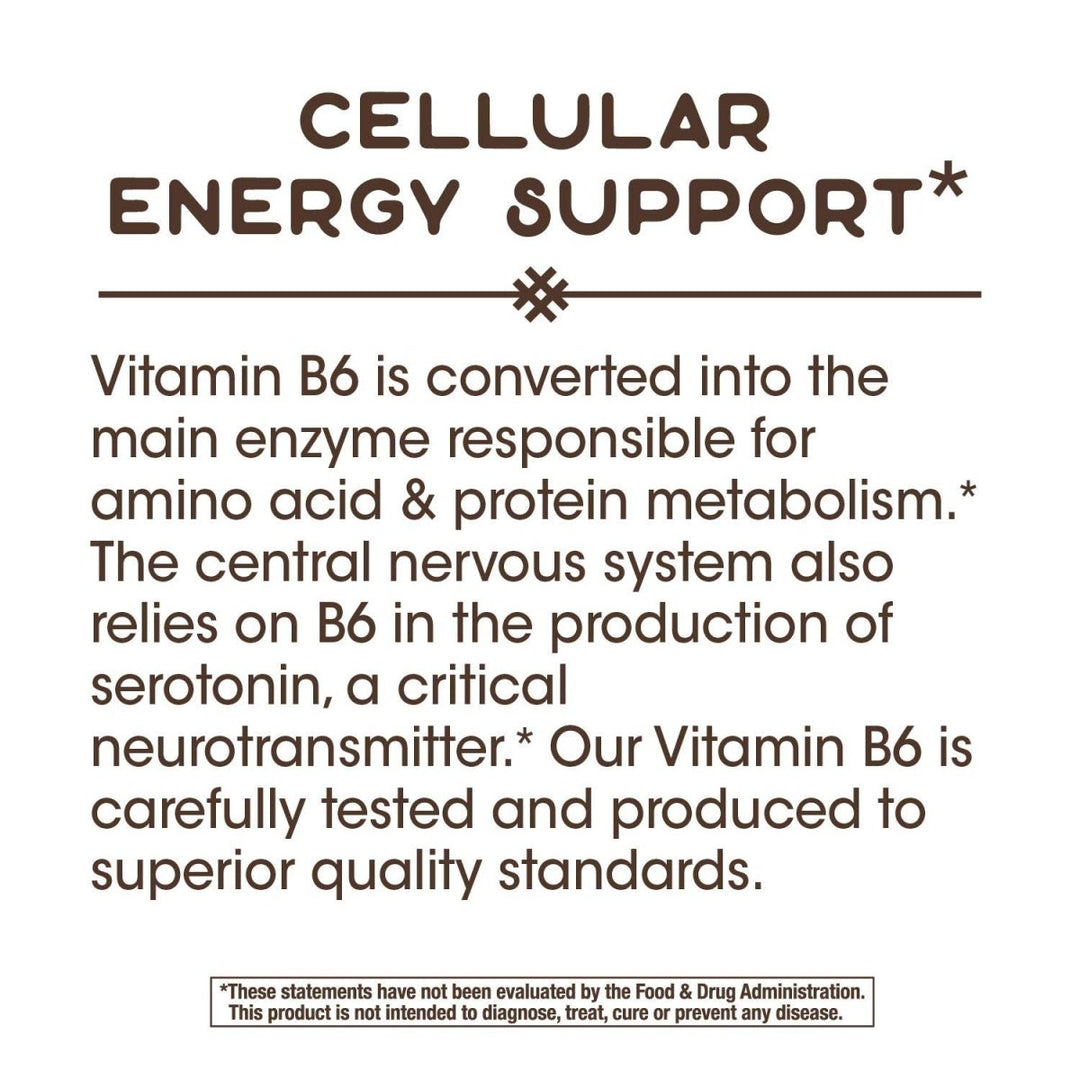 Nature's Way Vitamin B - 6, 50 mg per serving - The Oasis of Health
