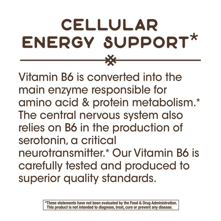 Nature's Way Vitamin B - 6, 50 mg per serving - The Oasis of Health