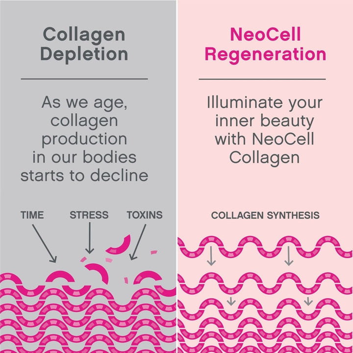 NeoCell Hair, Skin and Nails Beauty Builder With Collagen, Biotin and Vitamin C, Includes Antioxidants, Gummy, Lemon, 60 Count, 1 Bottle - The Oasis of Health