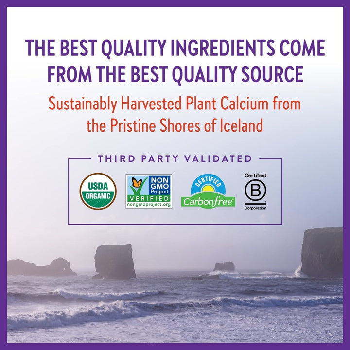 New Chapter Bone Strength Take Care 180 Slim Tablets - The Oasis of Health