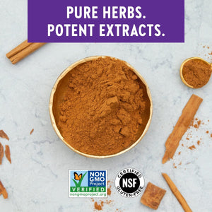 New Chapter Cinnamon Supplement - Cinnamon Force for Antioxidant Action + Non - GMO Ingredients - 30 ct Vegetarian Capsules - The Oasis of Health