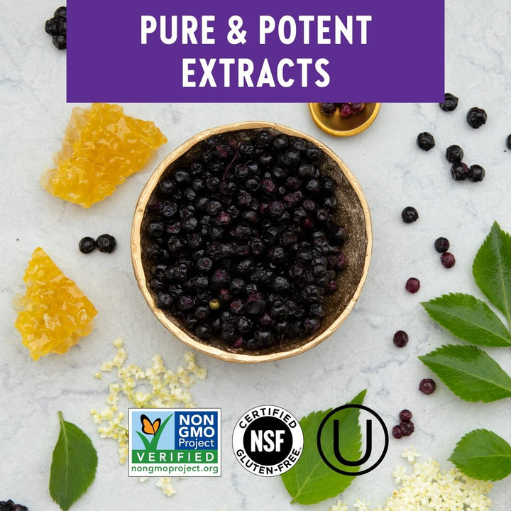 New Chapter Elderberry Powder On The Go Sticks 12 Packets - The Oasis of Health