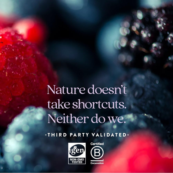 New Chapter Liquid Multivitamin + Mineral Supplement for Whole - Body Benefits, 100% Delicious Multivitamin for Adults, Teens & Kids 2+, Ready to Absorb Faster, Mixed Berry Flavored, 30 oz - The Oasis of Health