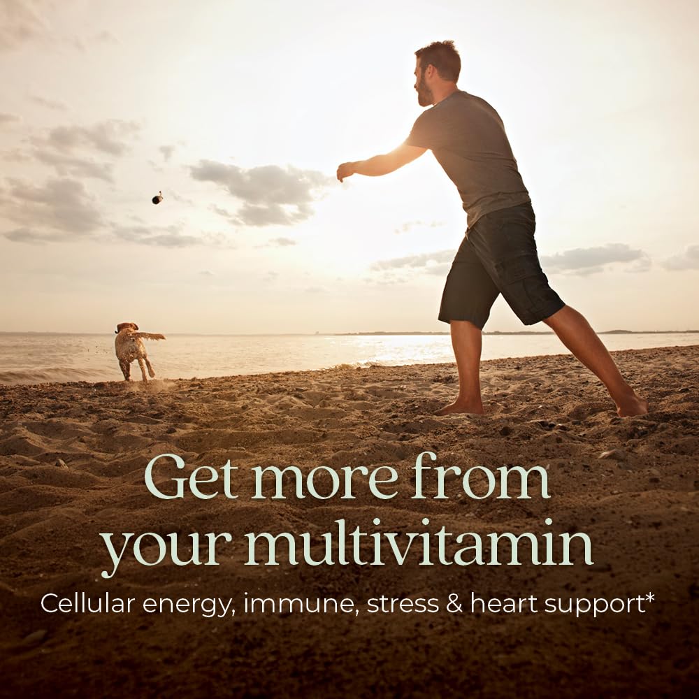 New Chapter Men's Multivitamin for Immune, Stress, Heart + Energy Support with Fermented Nutrients - Every Man's One Daily, Made with Organic Vegetables & Herbs, Non - GMO, Gluten Free - 48 ct - The Oasis of Health