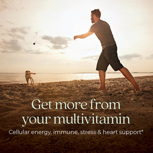 New Chapter Men's Multivitamin for Immune, Stress, Heart + Energy Support with Fermented Nutrients - Every Man's One Daily, Made with Organic Vegetables & Herbs, Non - GMO, Gluten Free - 48 ct - The Oasis of Health
