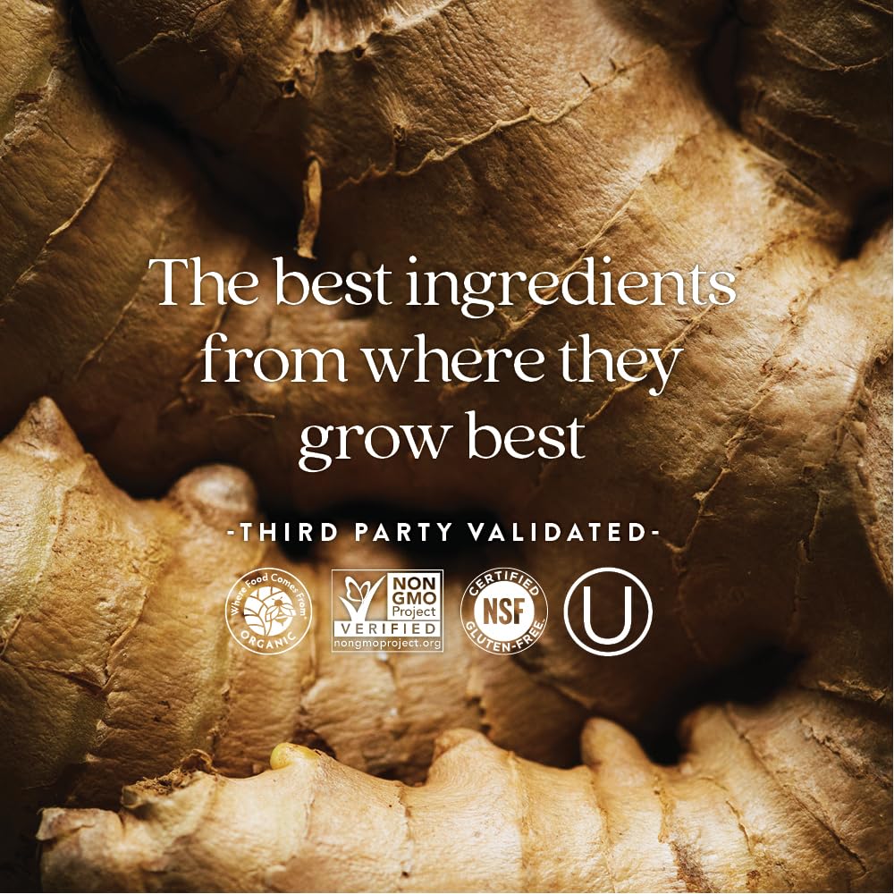 New Chapter Men's Multivitamin for Immune, Stress, Heart + Energy Support with Fermented Nutrients - Every Man's One Daily, Made with Organic Vegetables & Herbs, Non - GMO, Gluten Free - 48 ct - The Oasis of Health