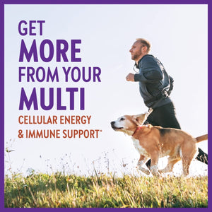 New Chapter Men’s Multivitamin Gummies, 66% Less Sugar, Men’s Gummy Vitamins with Vitamin C, D3 & Zinc, Non - GMO, Gluten Free, Berry - Citrus, 75ct - The Oasis of Health