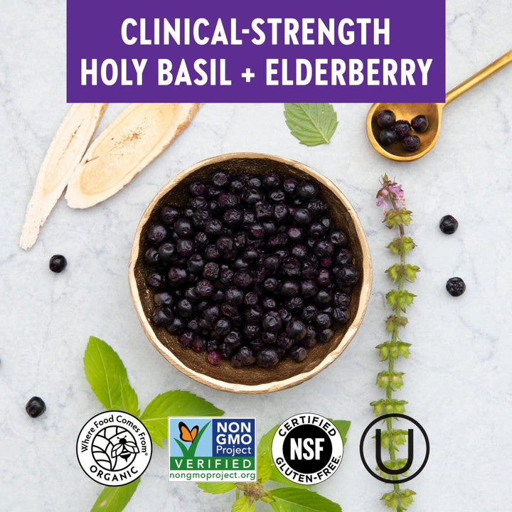 New Chapter? One Daily Multivitamin + Immunity ? Enhanced Immune Support from Extra Vitamin C, D3 & Zinc + Clinical - Strength Holy Basil* 100% Vegetarian, Non - GMO, Certified Gluten Free, 30 ct - The Oasis of Health
