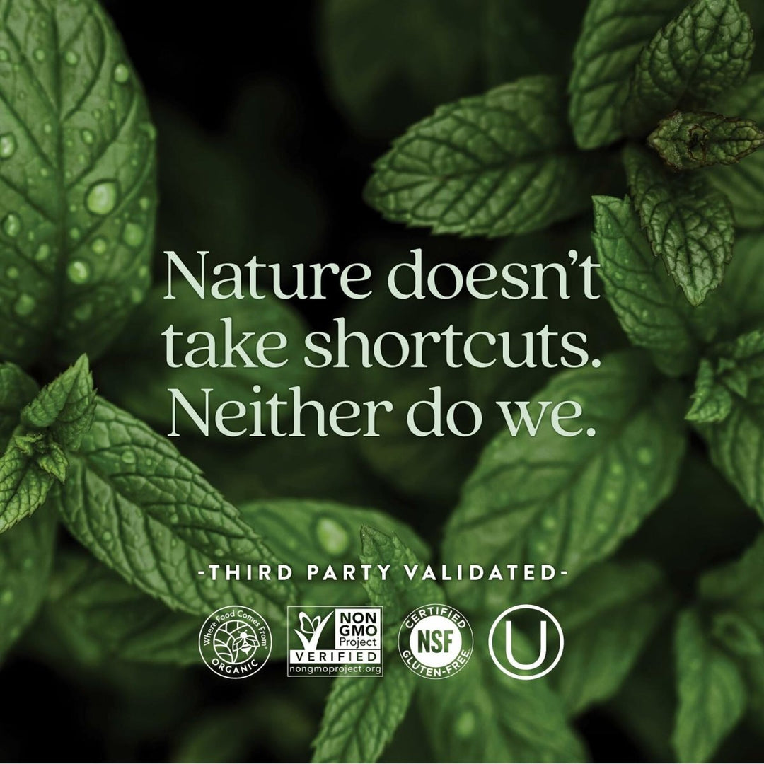 New Chapter Women's Multivitamin 50 Plus for Cellular Energy, Heart & Immune Support with 20+ Nutrients + Astaxanthin - Every Woman's One Daily 55+, Gentle on The Stomach, 72 Count - The Oasis of Health