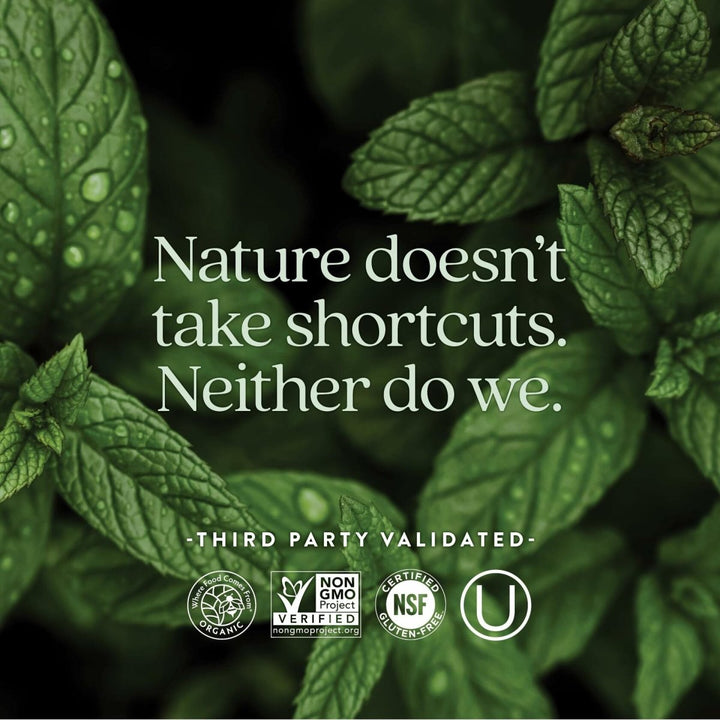 New Chapter Women's Multivitamin 50 Plus for Cellular Energy, Heart & Immune Support with 20+ Nutrients + Astaxanthin - Every Woman's One Daily 55+, Gentle on The Stomach, 72 Count - The Oasis of Health