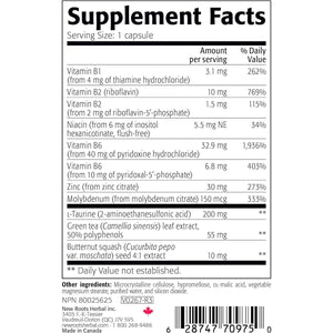 New Roots Herbal Ultra Zinc 30 mg 90 Capsules - The Oasis of Health