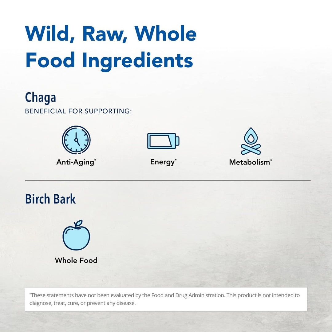 NORTH AMERICAN HERB & SPICE Chag - o - Charge - 3.2 oz. - 45 Servings NF0147 - The Oasis of Health