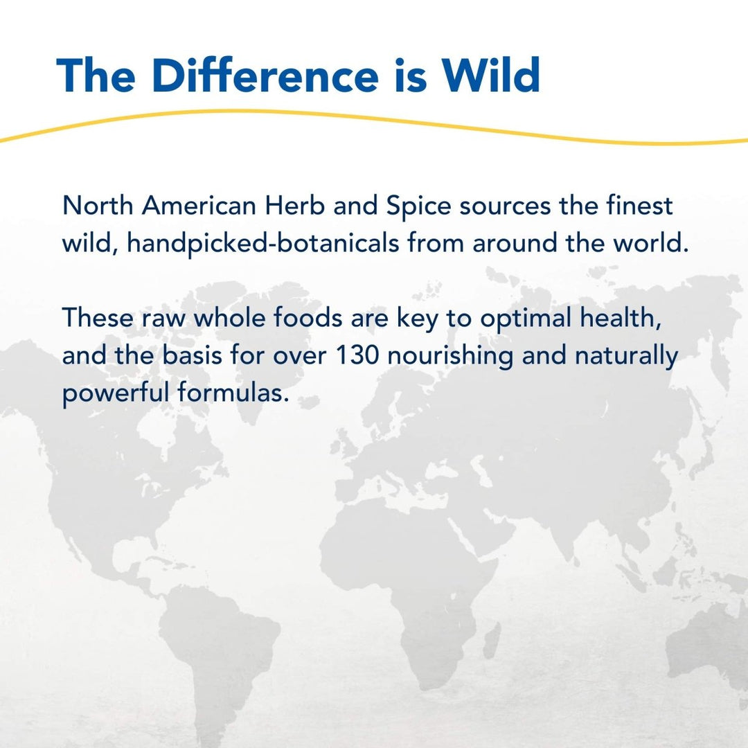 NORTH AMERICAN HERB & SPICE Chag - o - Charge - 3.2 oz. - 45 Servings NF0147 - The Oasis of Health