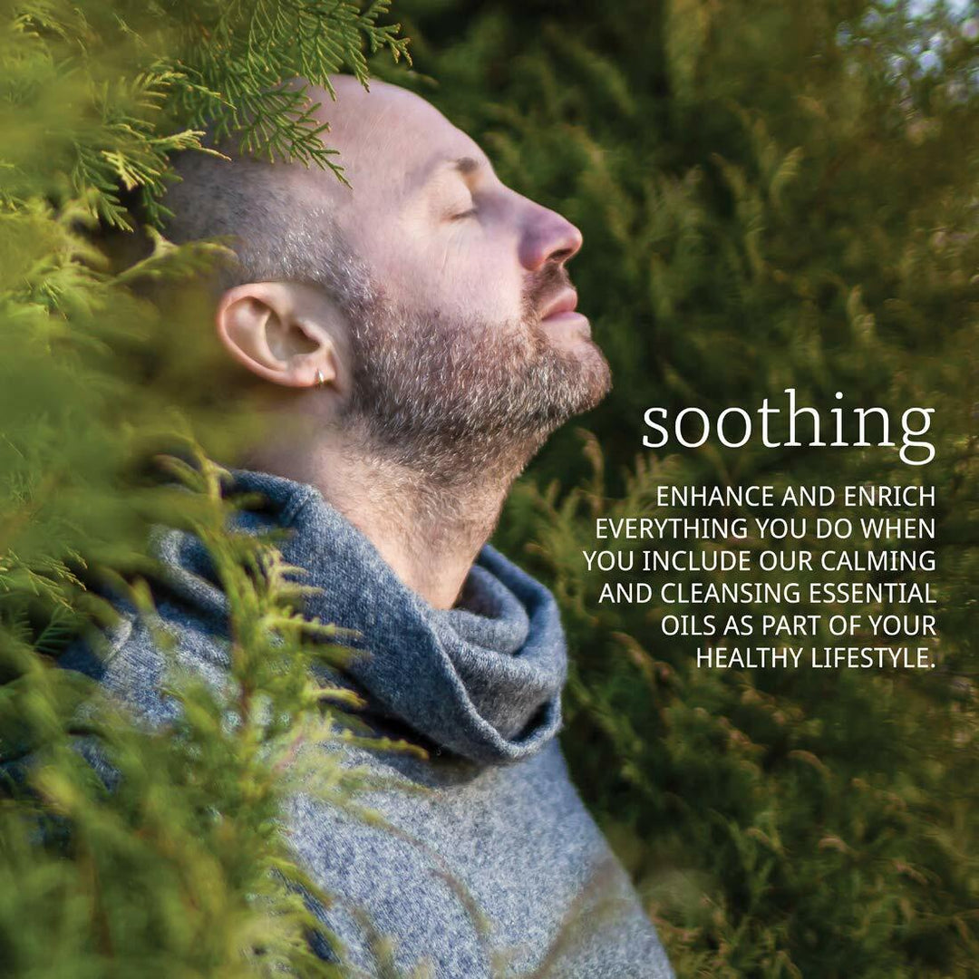 NOW Cedarwood Oil, 1 Fl Oz (Pack of 2) - The Oasis of Health