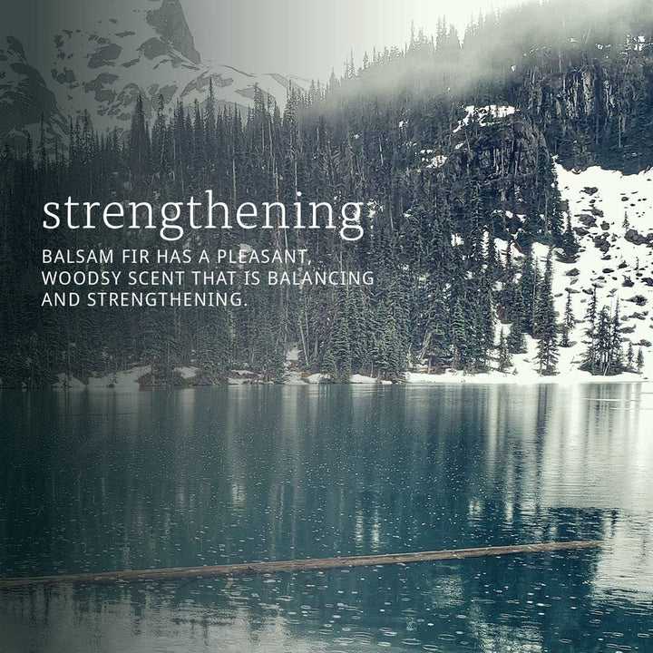 Now Essential Oils Balsam Fir Needle Oil 1oz - 7513 - The Oasis of Health