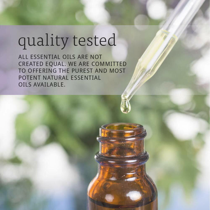 NOW Essential Oils, Clear the Air Oil Blend, Purifying Aromatherapy Scent, Blend of Pure Essential Oils, Steam Distilled, Vegan, Child Resistant Cap, 4 - Ounce - The Oasis of Health