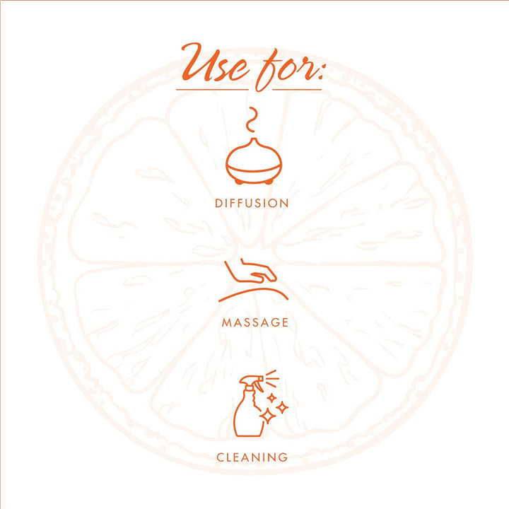 Now Essential Oils Orange Oil 4oz - 7578 - The Oasis of Health