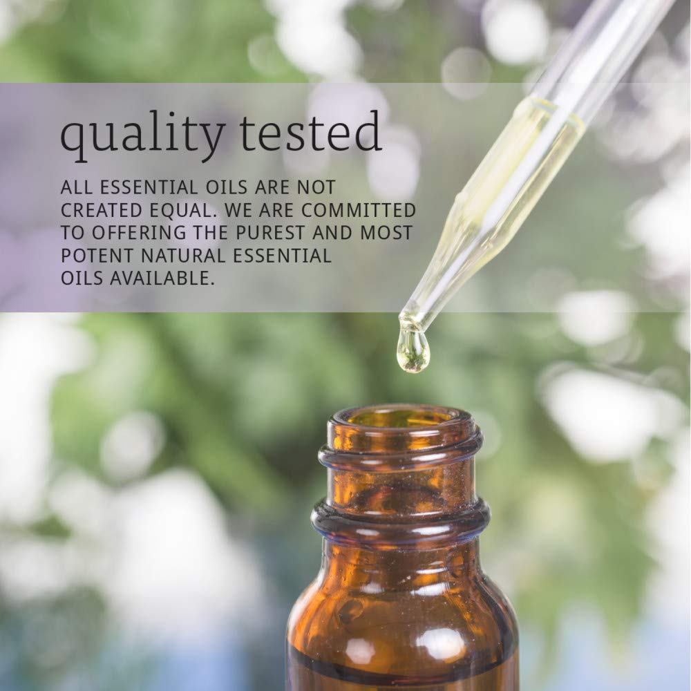 NOW Essential Oils, Rose Absolute, 1 - Ounce - The Oasis of Health