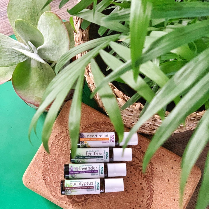 Now Essential Oils Seasonal Defense Essential Oil Blend Roll - On 10ml - 7902 - The Oasis of Health