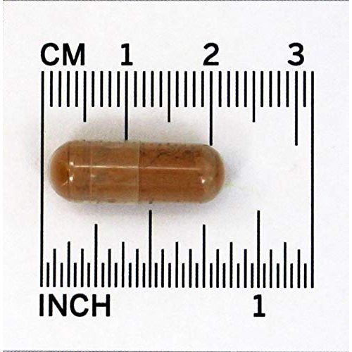 Now Foods Cat's Claw Extract 120 Vcaps - 4628 - The Oasis of Health