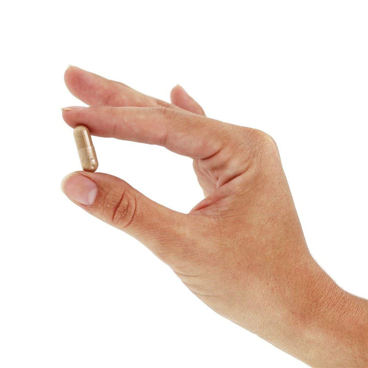 Now Foods Cat's Claw Extract 120 Vcaps - 4628 - The Oasis of Health