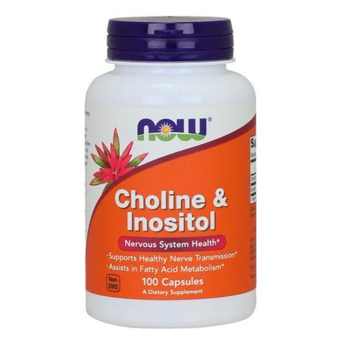 Now Foods Choline & Inositol 500 mg 100 Vcaps - 0470 - The Oasis of Health