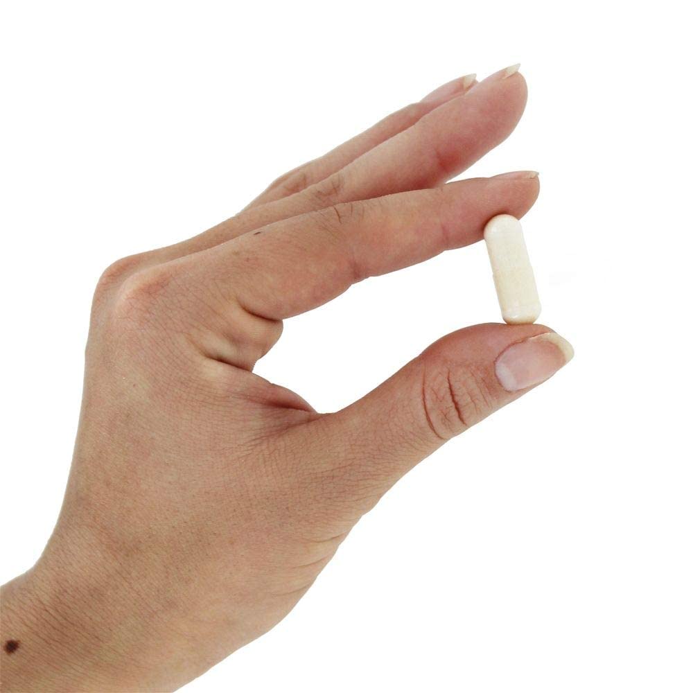 Now Foods Glucosamine & Chondroitin with MSM 90 Vcaps - 3170 - The Oasis of Health