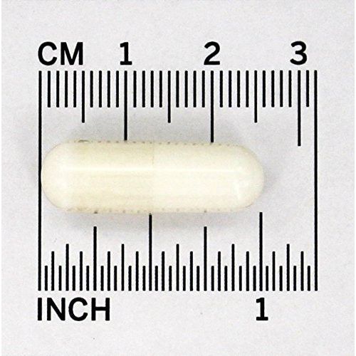 Now Foods Glucosamine & MSM (Vegetarian) 240 Vcaps - 3131 - The Oasis of Health