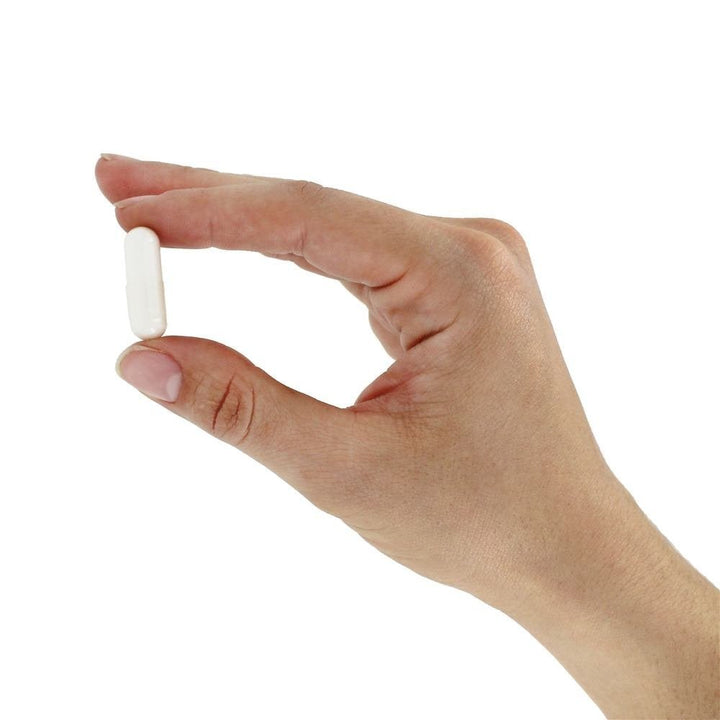 Now Foods Glucosamine & MSM (Vegetarian) 240 Vcaps - 3131 - The Oasis of Health